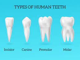 l 18 Ways Look Beautiful of Teeth l For Teeth Whitening l