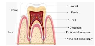 l 18 Ways Look Beautiful of Teeth l For Teeth Whitening l