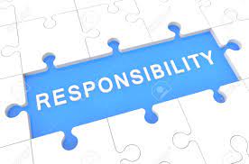 10 Roles and responsibilities of a good citizen