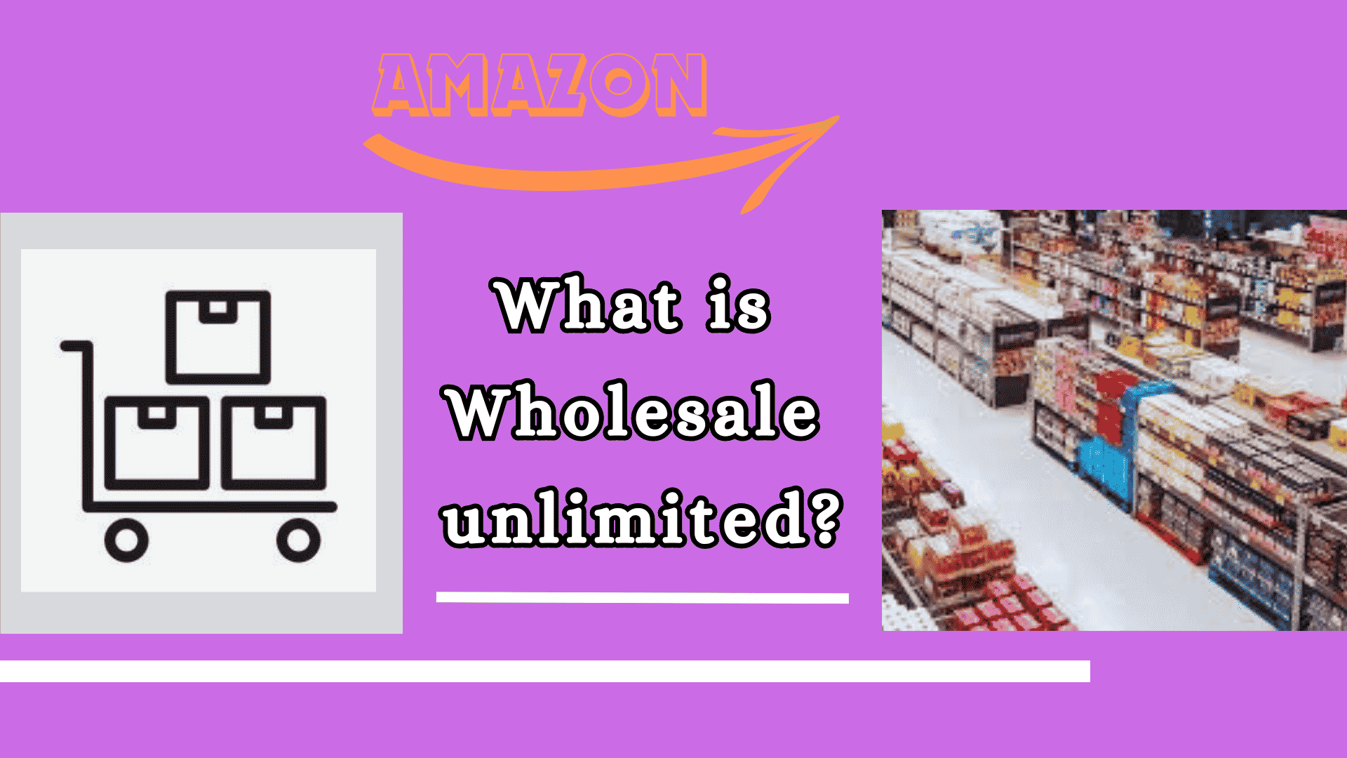 What is Wholesale unlimited