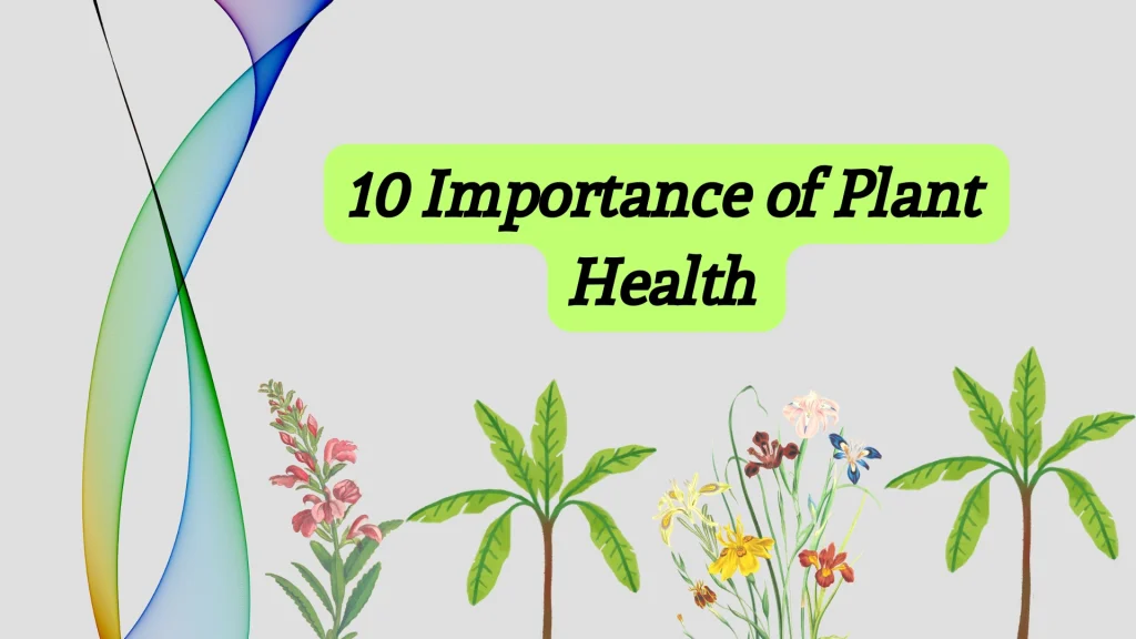 I make my plants healthy by 10 tips